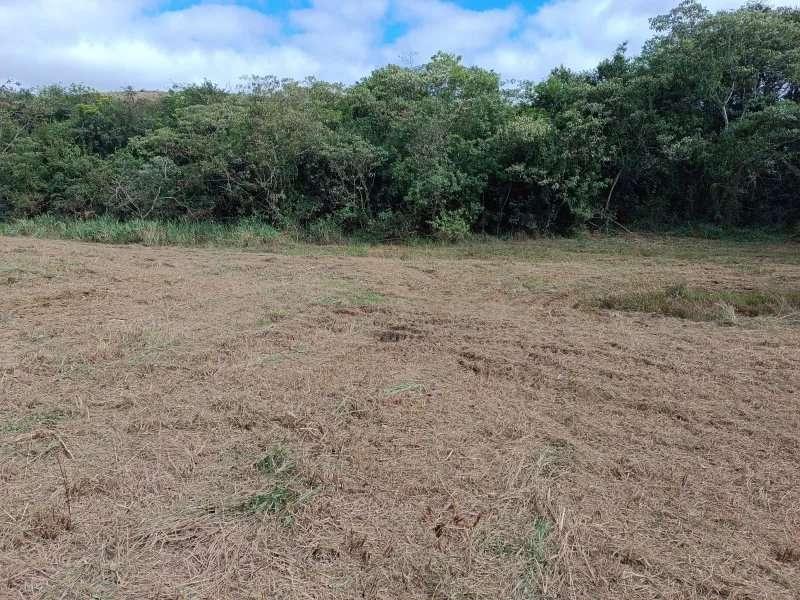 Terreno à venda, 5.500m² - Campolide,